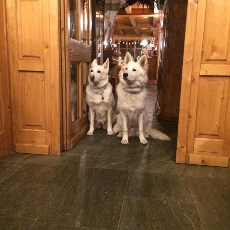Hotel Lyshaus Gressoney-Saint-Jean Esterno foto